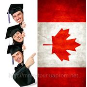 Выезд в Канаду на изучение английского или французского языка фото