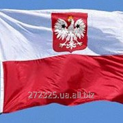 Изучение польского языка / Вивчення польскої мови