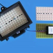 Светодиодные лампы для настенно-потолочных светильников фото