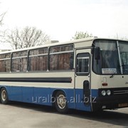 Муфта сцепления ТНВД фото