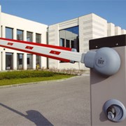 Шлагбаум Ужгород Киев фото