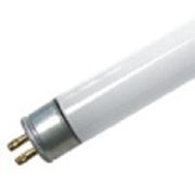 Лампа люминисцентная TL-6W/33-640 фото