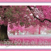Картина стразами в 3Д Розовое дерево 133х74 см фото