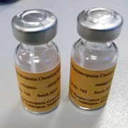 Хлоргексидин для пригодности системы (Chlorhexidine CRS)