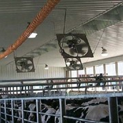 Система автоматической вентиляции ферм и коровников. фото