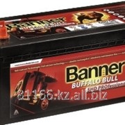 Аккумуляторная батарея banner buffalo bull shd professional 68008 фото