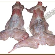 Предлагаем мясо кролика мясных пород фотография