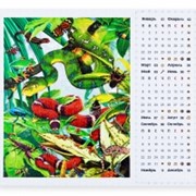 Пазло-картина 500 + календарь Змеи фото