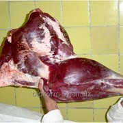 Мясо страуса фото