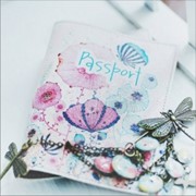 Обложка на паспорт 13 фотография