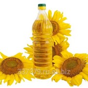 Sunflower oil фото