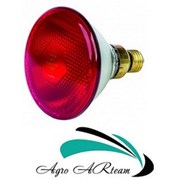 Инфракрасная лампа 150 Вт красная PAR (Польша) фото
