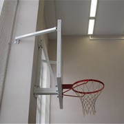 Кольцо баскетбольное тренировочное фото