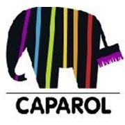 Краски капарол — Фасадная краска Caparol — Color Express фото