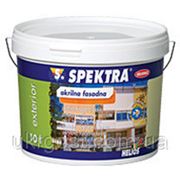 SPEKTRA latex краска 10л фото