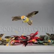 Птички колибри 8х10 см N066230N 6165 фото