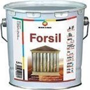 Forsil TR фото