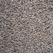 Анализ зерна и комбикормов на микотоксины фото