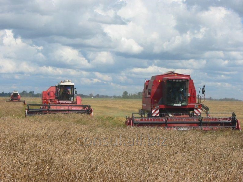 Купить Комбайн Лида 1300 Бу