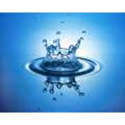 Антифриз фото