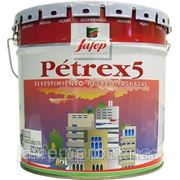Краска акриловая фасадная Petrex 5 Liso 6 kg(Петрекс 5. Испания) фото