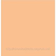 ХТС-237 Краска абрикосовая сухая, 30 кг фото
