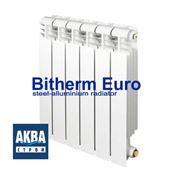 Радиатор BITHERM Euro 500/80 фото
