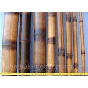 Бамбуковый ствол-декоративный (диаметр 7-8 см , длина 3м.)