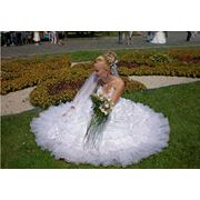 свадебные прически укладки макияж Киев фото