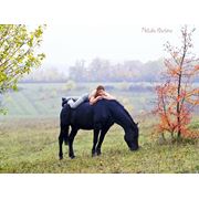 Релаксация с помощью лошадей фото