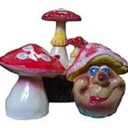 Садовые грибы