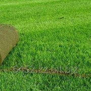 Укладка и засыпка искусственной травы