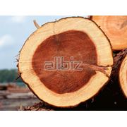 Распиловка древесины фото