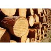 Экспорт леса древесины фото