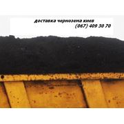 Чернозем Киев Доставка чернозема грунта Засыпка участков фото