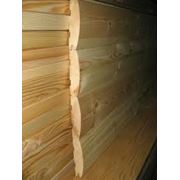 Сушка термообработка древесины. фото