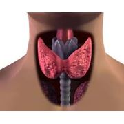 Инновационный метод в лечении щитовидной железы
