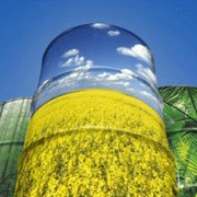 Рапсовое масло для производства биодизеля фотография
