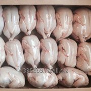 Корнишоны (тушка цыпленка) 3-х калибров и Курица ЦБ охл/зам скл М