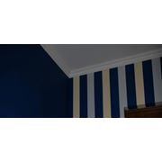 Декоративная покраска стен. Декоративная отделка стен, покраска потолков в ванной Киев. декоративная покраска стен в квартире. фото