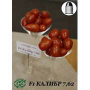 Семена томатов F1 Калибр 7,62 фото