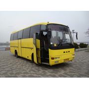 Деловые поездки автобусом по всей Украине фото