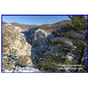 Туристические услуги фото