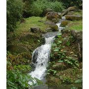 Устройство прудов ручьев и водопадов в саду фотография