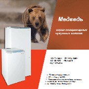Protherm (Протерм) Медведь 50 KLZ, 45 кВт, дымоход, электророзжиг фотография