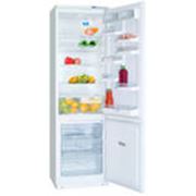 Холодильники двухкамерные фото