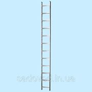 Приставная лестница Кентавр (12-и ступенчатая) (3.4 м) фото