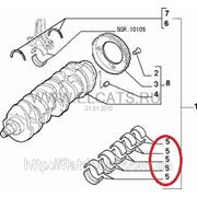 Вкладыши коренные 0.20 1.9JTD-1.9MJTD Doblo 71718246