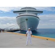 Курсы обучения стюард стюарды морского пассажирского флота фото
