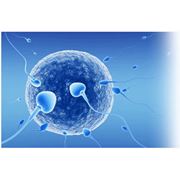 Лечение бесплодия репродуктивные технологии. фото